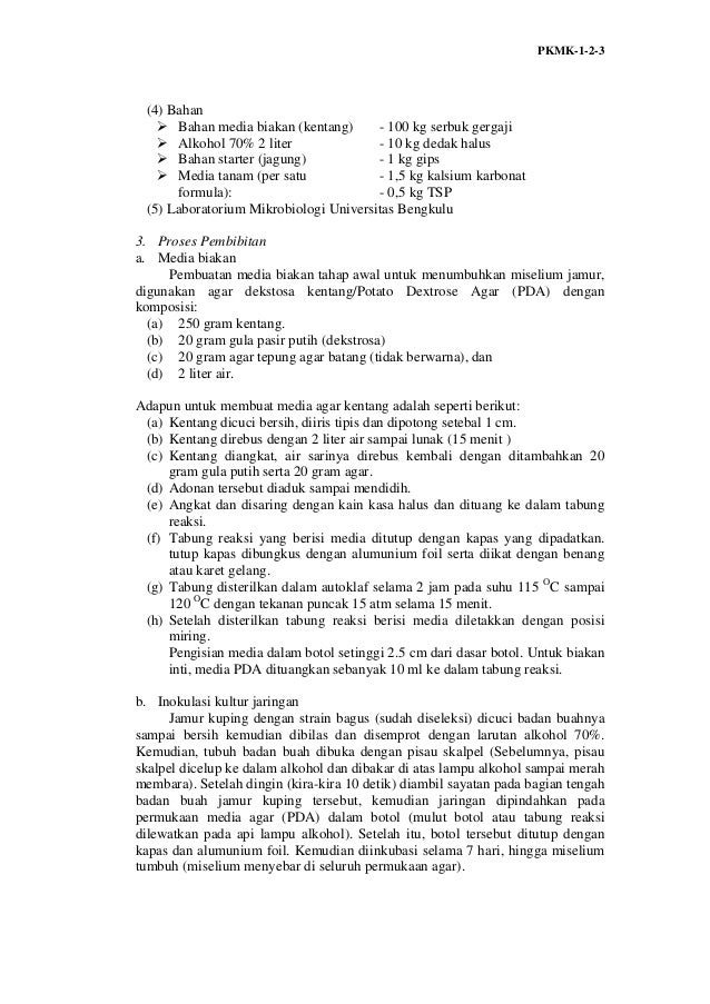 Contoh makalah program kreativitas mahasiswa kewirausahaan