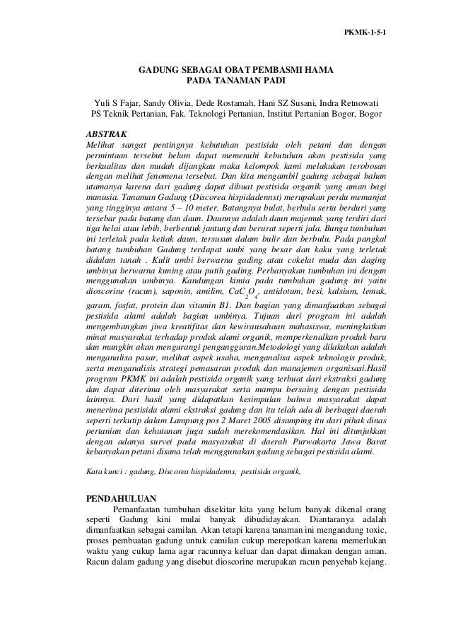 Contoh makalah program kreativitas mahasiswa kewirausahaan