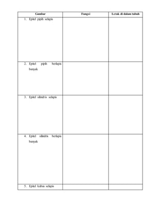 Gambar Fungsi Letak di dalam tubuh
1. Epitel pipih selapis
2. Epitel pipih berlapis
banyak
3. Epitel silindris selapis
4. Epitel silindris berlapis
banyak
5. Epitel kubus selapis
 