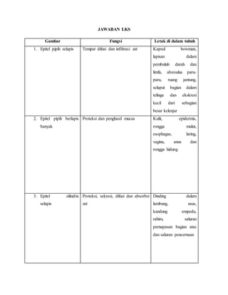 JAWABAN LKS
Gambar Fungsi Letak di dalam tubuh
1. Epitel pipih selapis Tempat difusi dan infiltrasi zat Kapsul bowman,
lapisan dalam
pembuluh darah dan
limfa, alveoulus paru-
paru, ruang jantung,
selaput bagian dalam
telinga dan ekskresi
kecil dari sebagian
besar kelenjar
2. Epitel pipih berlapis
banyak
Proteksi dan penghasil mucus Kulit, epidermis,
rongga mulut,
esophagus, laring,
vagina, anus dan
rongga hidung
3. Epitel silindris
selapis
Proteksi, sekresi, difusi dan absorbsi
zat
Dinding dalam
lambung, usus,
kandung empedu,
rahim, saluran
pernapasan bagian atas
dan saluran pencernaan
 