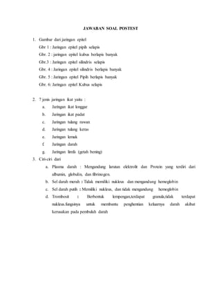 JAWABAN SOAL POSTEST
1. Gambar dari jaringan epitel
Gbr 1 : Jaringan epitel pipih selapis
Gbr. 2 : jaringan epitel kubus berlapis banyak
Gbr.3 : Jaringan epitel silindris selapis
Gbr. 4 : Jaringan epitel silindris berlapis banyak
Gbr. 5 : Jaringan epitel Pipih berlapis banyak
Gbr. 6: Jaringan epitel Kubus selapis
2. 7 jenis jaringan ikat yaitu :
a. Jaringan ikat longgar
b. Jaringan ikat padat
c. Jaringan tulang rawan
d. Jaringan tulang keras
e. Jaringan lemak
f. Jaringan darah
g. Jaringan limfa (getah bening)
3. Ciri-ciri dari
a. Plasma darah : Mengandung larutan elektrolit dan Protein yang terdiri dari
albumin, globulin, dan fibrinogen.
b. Sel darah merah : Tidak memiliki nukleus dan mengandung hemoglobin
c. Sel darah putih : Memiliki nukleus, dan tidak mengandung hemoglobin
d. Trombosit : Berbentuk lempengan,terdapat granula,tidak terdapat
nukleus.fungsinya untuk membantu penghentian keluarnya darah akibat
kerusakan pada pembuluh darah
 