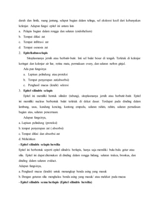 darah dan limfa, ruang jantung, selaput bagian dalam telinga, sel ekskresi kecil dari kebanyakan
kelenjar. Adapun fungsi epitel ini antara lain
a. Pelapis bagian dalam rongga dan saluran (endothelium)
b. Tempat difusi zat
c. Tempat infiltrasi zat
d. Tempat osmosis zat
2. Epitelkubusselapis
Sitoplasmanya jernih atau berbutir-butir. Inti sel bulat besar di tengah. Terletak di kelenjar
keringat dan kelenjar air liur, retina mata, permukaan ovary, dan saluran nefron ginjal.
Ada pun fungsinya
a. Lapisan pelindung atau proteksi
b. Tempat penyerapan zat(absorbsi)
c. Penghasil mucus (lendir) sekresi
3. Epitel silindris selapis
Epitel ini memiliki bentuk silinder (tabung), sitoplasmanya jernih atau berbutir-butir. Epitel
ini memiliki nucleus berbentuk bulat terletak di dekat dasar. Terdapat pada dinding dalam
lambung, usus, kandung kencing, kantong empedu, saluran rahim, rahim, saluran pernafasan
bagian atas, saluran pencernaan.
Adapun fungsinya,
a. Lapisan pelindung (proteksi)
b. tempat penyerapan zat ( absorbsi)
c. Tempat difusi dan absorbsi zat
d. Melicinkan
- Epitel silindris selapis bersilia
Epitel ini berbentuk seperti epitel silindris berlapis, hanya saja memiliki bulu-bulu getar atau
silia. Epitel ini dapat ditemukan di dinding dalam rongga hidung, saluran trakea, bronkus, dan
dinding dalam saluran oviduct.
Adapun fungsinya,
a. Penghasil mucus (lendir) untuk menangkap benda asing yang masuk
b. Dengan getaran silia menghalau benda asing yang masuk/ atau melekat pada mucus
- Epitel silindris semu berlapis (Epitel silindris bersilia)
 