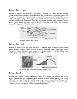 Jaringan Ikat Longgar
Jaringan ini tersusun atas serat-serat yang longgar. Jaringan ikat longgar berfungsi memberi
bentuk pada organ-organ dalam, serta menyokong dan menghubungkan komponen jaringan lain.
Jaringan ini tersusun atas bermacam-macam serabut (fiber) dan selsel. Terdapat dua macam
serabut (fiber) pada jaringan ikat longgar, yaitu serabut kolagen dan serabut elastin. Adapun sel-
sel yang terdapat pada jaringan ini, antara lain sel mastosit, sel darah putih, makrofag, dan sel
lemak. Contoh jaringan ikat padat adalah jaringan di bawah kulit, serta jaringan yang membatasi
jantung dan rongga perut. Perhatikan Gambar berikut.
Penyusun jaringan ikat longgar
Jaringan Ikat Padat
Jaringan ini tersusun atas serat-serat yang padat. Komponen utama jaringan ikat padat adalah
serabut kolagen. Serabut kolagen tersebut bergabung membentuk bundel-bundel yang paralel.
Jaringan ini dapat ditemukan pada tendon yang menghubungkan otot dengan tulang, serta
ligamen yang menghubungkan antartulang melalui sendi.
(a) Jaringan ikat padat dan (b) struktur serabut kolagen
Jaringan Lemak
Jaringan lemak memiliki susunan menyerupai jaringan ikat longgar yang tersusun atas sel-sel
lemak. Sel-sel lemak yang mengandung lemak tersebut di dalam matriks jaringan lemak. Setiap
sel lemak berisi tetes lemak (fat droplet) yang mengisi hampir seluruh isi sel. Jaringan lemak
dapat ditemukan di bawah kulit, ginjal, dan jantung. Fungsi jaringan lemak, antara lain sebagai
cadangan makanan dan menjaga hilangnya panas secara berlebihan.
 