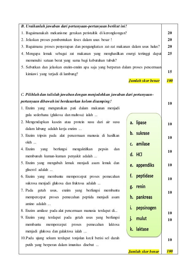 Terjadinya gerak peristaltik tersebut dikarenakan di kerongkongan terdapat