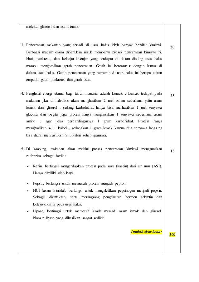 Contoh Soal Sistem Pencernaan Manusia