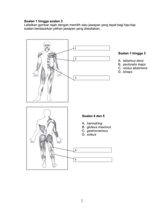 Soalan 1 hingga soalan 3
Labelkan gambar rajah dengan memilih satu jawapan yang tepat bagi tiap-tiap
soalan berdasarkan pilihan jawapan yang disediakan.
2
1
2
3
4
5
Soalan 1 hingga 3
A. latisimus dorsi
B. pectoralis major
C. rectus abdominis
D. biceps
Soalan 4 dan 5
A. harmstring
B. gluteus maximus
C. gastrocnemius
D. soleus
 