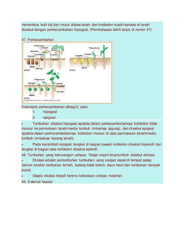 Soalutbkdanpembahasan 20192020  Sbmptn Plus Utbk 2019