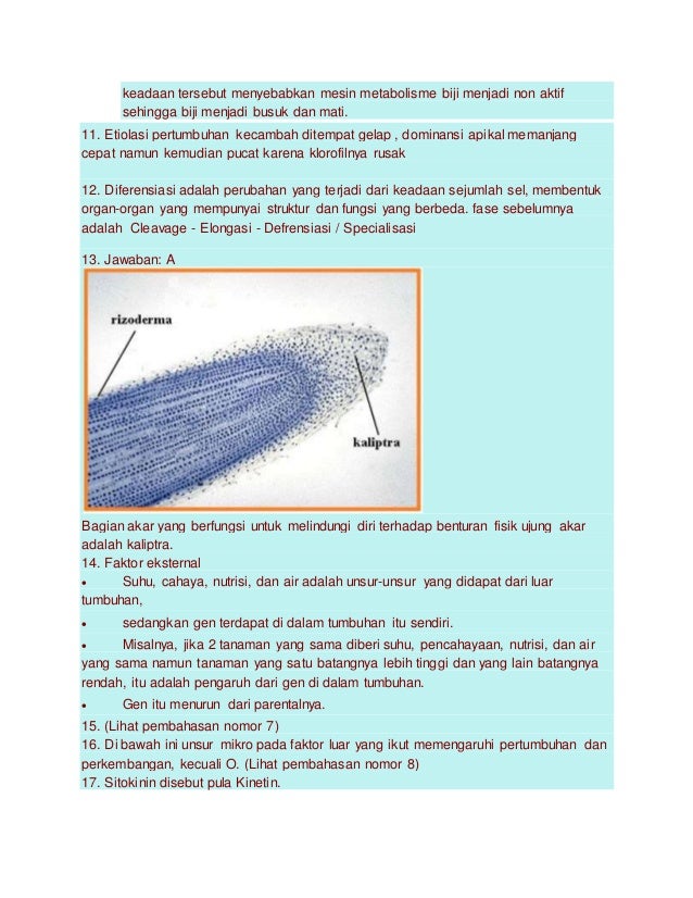 Soal Dan Pembahasan Pertumbuhan Dan Perkembangan
