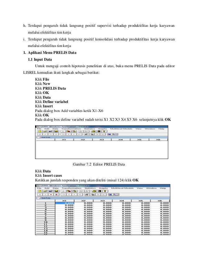 CONTOH TESIS MODEL ANALISIS JALUR DENGAN LISREL