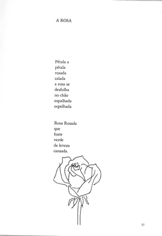 matilde rosa-araujomisterios