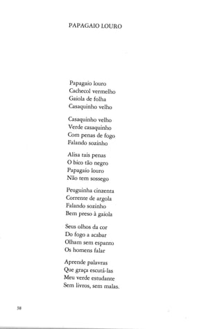 matilde rosa-araujomisterios