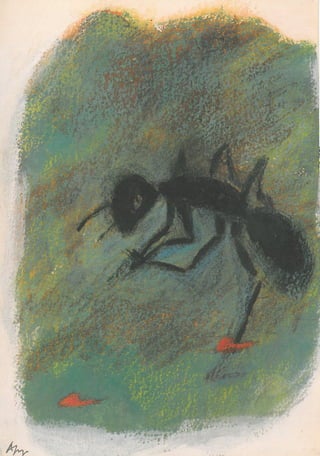 Conto matilde rosa-araujo-misterios