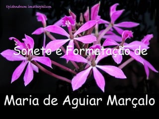 Maria de Aguiar Marçalo Soneto e Formatação de