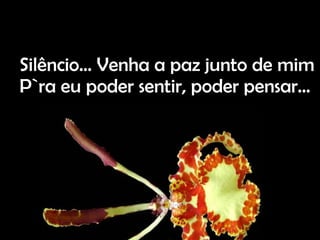 Silêncio… Venha a paz junto de mim P`ra eu poder sentir, poder pensar…