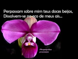 Perpassam sobre mim teus doces beijos, Dissolvem-se no eco de meus ais…