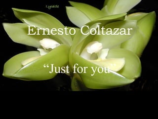 Ernesto Coltazar “ Just for you”