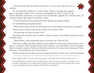 - Está chovendo! Está chovendo! Corram para a sua casa, antes que suas asas se
molhem!
Os marimbondos acreditaram e voaram todos. Ananse, correndo atrás, jogando
água e segurando a folha, como se estivesse se protegendo da chuva. E assim foi que
Ananse descobriu onde ficava a casa secreta dos marimbondos. Quando eles entraram todos, ele
começou a jogar a água dentro da casa deles, e dizia:
- É uma inundação! É uma inundação! Toda a floresta está embaixo d’água!
Os marimbondos preocupados diziam:
- Nunca choveu tanto a ponto de entrar água na nossa casa! Agora aonde iremos nos abrigar?
Ananse, então, esvaziou o que restava da água de sua cabaça e disse:
- Eu tenho aqui um lugar seco para vocês!
Os marimbondos entraram todos na cabaça e Ananse, usando a mesma folha da palmeira, tampou
a entrada e disse:
- Agora Mboro, vocês estão prontos para se encontrar com o Deus do Céu.
Voltou para a aldeia e prendeu a cabaça no mesmo galho da mesma árvore onde já estavam a Ser-
pente e o Leopardo. Todos na aldeia ficaram muito surpresos, mas ainda faltava o pior dos desafios!
Quem conseguiria capturar a Fada que nenhum homem jamais viu? Ananse não se preocupou. Voltou
para casa, e conversando com Aso, criou um plano.
No dia seguinte ele saiu. Desta vez levou consigo uma boneca coberta com a cola da seringueira.
4. Nessa região da África é corrente a ideia de que a fadas se alimentam exclusivamente de comida sem sal.
5. O nome Flamboyant, (delonix régia), de origem francesa, reporta-se às flores vermelho-vivas da árvore, que,
avistadas ao longe, faziam crer aos observadores que havia um incêndio na mata. Nessa região da África acredi-
ta-se que as fadas gostam de dançar deibaixo dos Flamboyants ao entardecer.
8
 