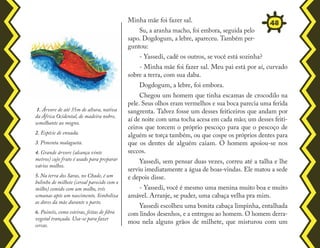 Minha mãe foi fazer sal.
Su, a aranha macho, foi embora, seguida pelo
sapo. Dogdogum, a lebre, apareceu. Também per-
guntou:
- Yassedi, cadê os outros, se você está sozinha?
- Minha mãe foi fazer sal. Meu pai está por aí, curvado
sobre a terra, com sua daba.
Dogdogum, a lebre, foi embora.
Chegou um homem que tinha escamas de crocodilo na
pele. Seus olhos eram vermelhos e sua boca parecia uma ferida
sangrenta. Talvez fosse um desses feiticeiros que andam por
aí de noite com uma tocha acesa em cada mão; um desses feiti-
ceiros que torcem o próprio pescoço para que o pescoço de
alguém se torça também, ou que cospe os próprios dentes para
que os dentes de alguém caiam. O homem apoiou-se nos
seccos.
Yassedi, sem pensar duas vezes, correu até a talha e lhe
serviu imediatamente a água de boas-vindas. Ele matou a sede
e depois disse.
- Yassedi, você é mesmo uma menina muito boa e muito
amável. Arranje, se puder, uma cabaça velha pra mim.
Yassedi escolheu uma bonita cabaça limpinha, entalhada
com lindos desenhos, e a entregou ao homem. O homem derra-
mou nela alguns grãos de milhete, que misturou com um
1. Árvore de até 35m de altura, nativa
da África Ocidental, de madeira nobre,
semelhante ao mogno.
2. Espécie de enxada.
3. Pimenta malagueta.
4. Grande árvore (alcança vinte
metros) cujo fruto é usado para preparar
vários molhos.
5. Na terra dos Saras, no Chade, é um
bolinho de milhete (cereal parecido com o
milho) comido com um molho, três
semanas após um nascimento. Simboliza
as dores da mãe durante o parto.
6. Painéis, como esteiras, feitas de fibra
vegetal trançada. Usa-se para fazer
cercas.
48
 