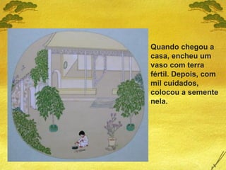 Quando chegou a
casa, encheu um
vaso com terra
fértil. Depois, com
mil cuidados,
colocou a semente
nela.
 