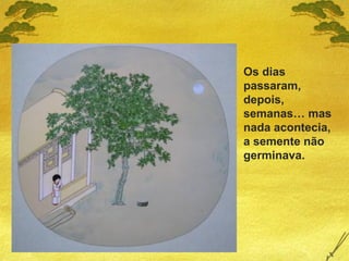 Os dias
passaram,
depois,
semanas… mas
nada acontecia,
a semente não
germinava.
 
