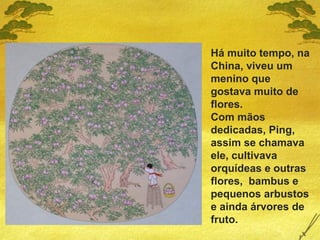 Há muito tempo, na
China, viveu um
menino que
gostava muito de
flores.
Com mãos
dedicadas, Ping,
assim se chamava
ele, cultivava
orquídeas e outras
flores, bambus e
pequenos arbustos
e ainda árvores de
fruto.
 