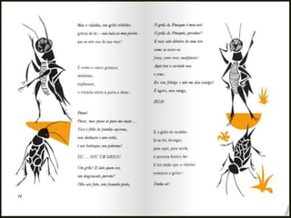 bichos-bicharocos