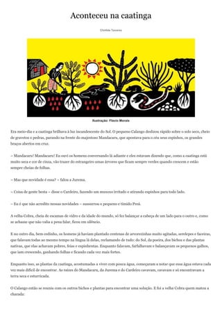 Aconteceu na caatinga
                                                        Clotilde Tavares




                                                   Ilustração: Flavio Morais


Era meio-dia e a caatinga brilhava à luz incandescente do Sol. O pequeno Calango deslizou rápido sobre o solo seco, cheio
de gravetos e pedras, parando na frente do majestoso Mandacaru, que apontava para o céu seus espinhos, os grandes
braços abertos em cruz.


– Mandacaru! Mandacaru! Eu ouvi os homens conversando lá adiante e eles estavam dizendo que, como a caatinga está
muito seca e cor de cinza, vão trazer do estrangeiro umas árvores que ficam sempre verdes quando crescem e estão
sempre cheias de folhas.


– Mas que novidade é essa? – falou a Jurema.


– Coisa de gente besta – disse o Cardeiro, fazendo um muxoxo irritado e atirando espinhos para todo lado.


– Eu é que não acredito nessas novidades – sussurrou o pequeno e tímido Preá.


A velha Cobra, cheia de escamas de vidro e da idade do mundo, só fez balançar a cabeça de um lado para o outro e, como
se achasse que não valia a pena falar, ficou em silêncio.


E no outro dia, bem cedinho, os homens já haviam plantado centenas de arvorezinhas muito agitadas, serelepes e faceiras,
que falavam todas ao mesmo tempo na língua lá delas, reclamando de tudo: do Sol, da poeira, dos bichos e das plantas
nativas, que elas achavam pobres, feias e espinhentas. Enquanto falavam, farfalhavam e balançavam os pequenos galhos,
que iam crescendo, ganhando folhas e ficando cada vez mais fortes.


Enquanto isso, as plantas da caatinga, acostumadas a viver com pouca água, começaram a notar que essa água estava cada
vez mais difícil de encontrar. As raízes do Mandacaru, da Jurema e do Cardeiro cavavam, cavavam e só encontravam a
terra seca e esturricada.


O Calango então se reuniu com os outros bichos e plantas para encontrar uma solução. E foi a velha Cobra quem matou a
charada:
 
