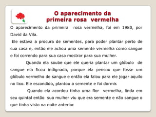 O aparecimento da primeira       rosa vermelha, foi em 1980, por
David da Vila.
Ele estava a procura de sementes, para poder plantar perto de
sua casa e, então ele achou uma semente vermelha como sangue
e foi correndo para sua casa mostrar para sua mulher.
        Quando ela soube que ele queria plantar um glóbulo de
sangue ela ficou indignada, porque ela pensou que fosse um
glóbulo vermelho de sangue e então ela falou para ele jogar aquilo
no lixo. Ele escondido, plantou a semente e foi dormir.
        Quando ela acordou tinha uma flor      vermelha, linda em
seu quintal então sua mulher viu que era semente e não sangue o
que tinha visto na noite anterior.
 
