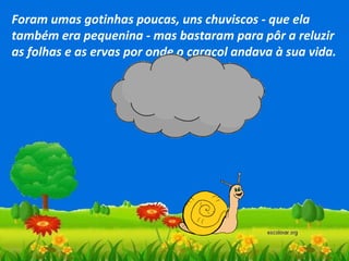 Foram umas gotinhas poucas, uns chuviscos - que ela
também era pequenina - mas bastaram para pôr a reluzir
as folhas e as ervas por onde o caracol andava à sua vida.

 