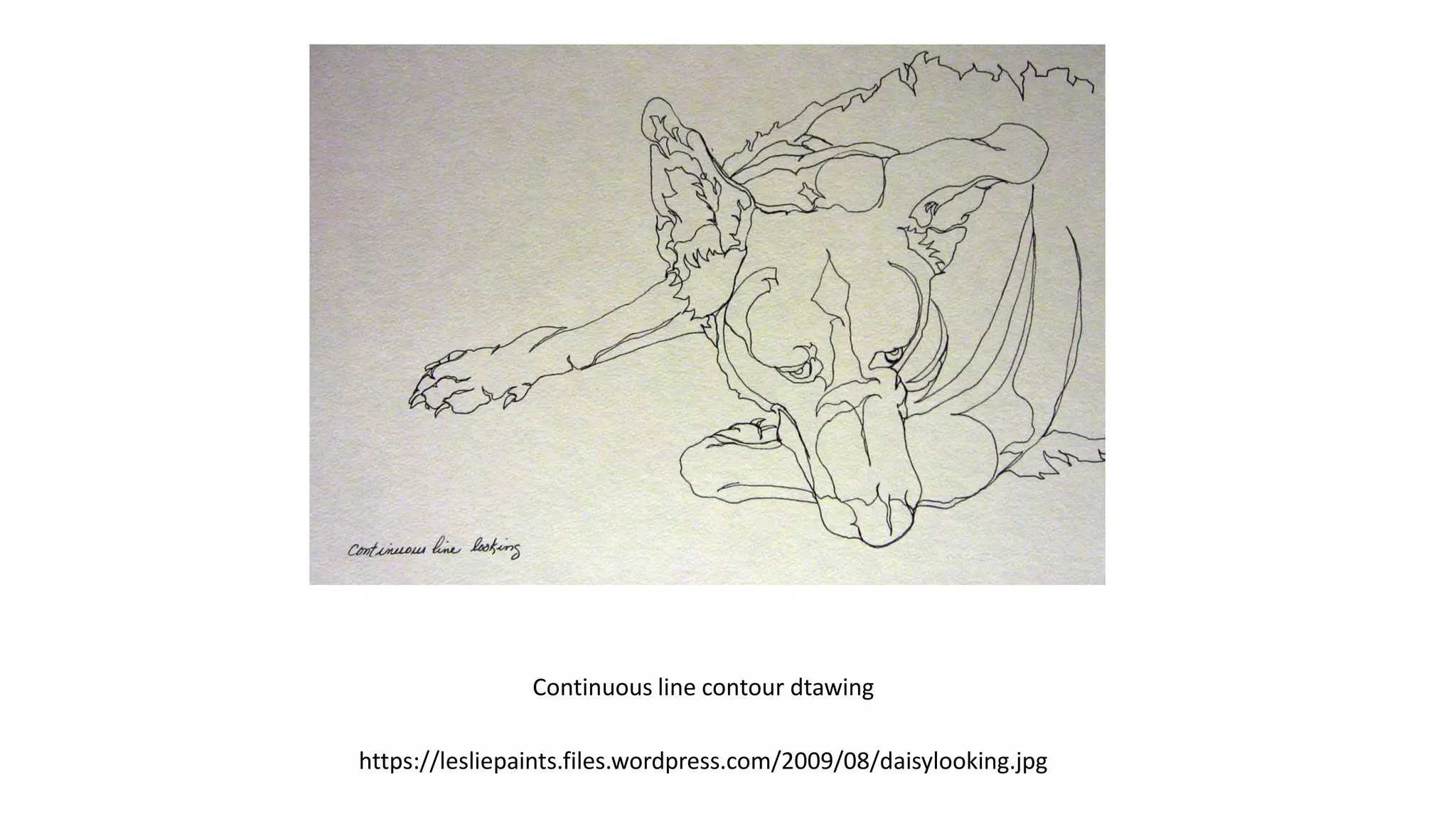 Continuous line contour dtawing
https://lesliepaints.files.wordpress.com/2009/08/daisylooking.jpg
 