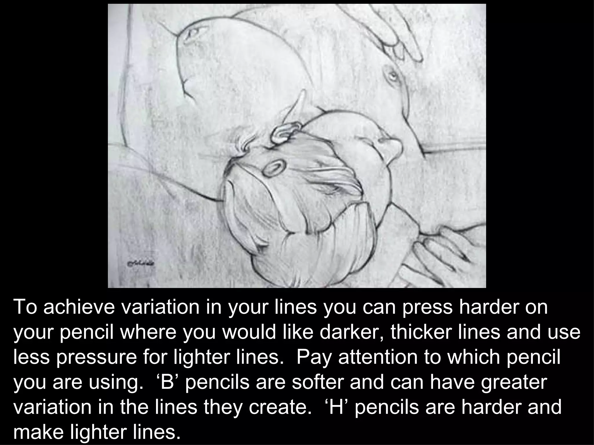 To achieve variation in your lines you can press harder on your pencil where you would like darker, thicker lines and use less pressure for lighter lines.  Pay attention to which pencil you are using.  ‘B’ pencils are softer and can have greater variation in the lines they create.  ‘H’ pencils are harder and make lighter lines. 
