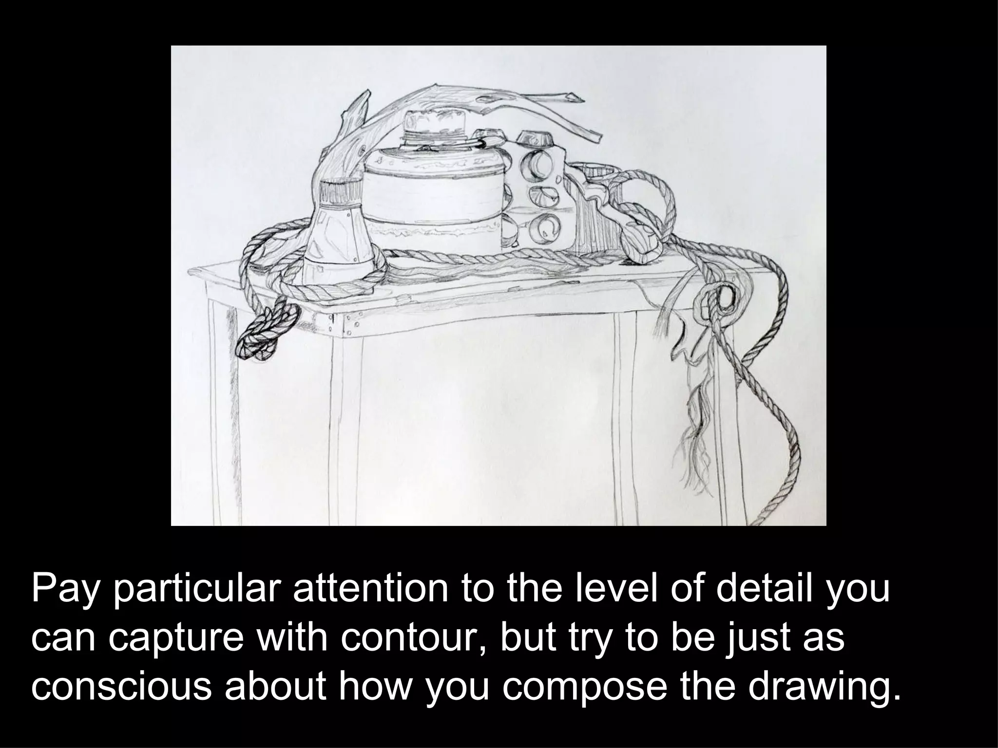 Pay particular attention to the level of detail you can capture with contour, but try to be just as conscious about how you compose the drawing. 