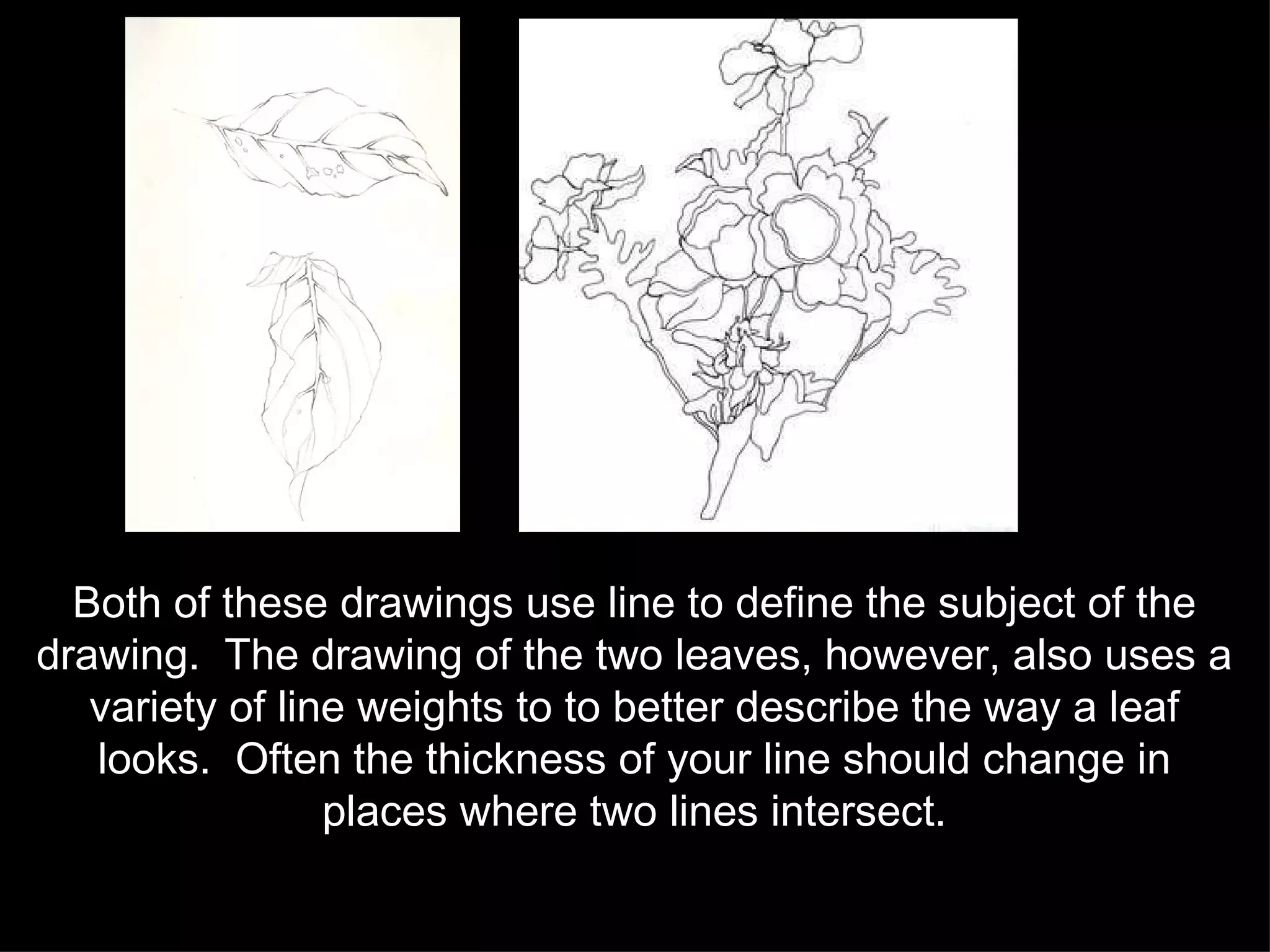 Both of these drawings use line to define the subject of the drawing.  The drawing of the two leaves, however, also uses a variety of line weights to to better describe the way a leaf looks.  Often the thickness of your line should change in places where two lines intersect. 