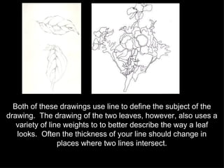 Both of these drawings use line to define the subject of the drawing.  The drawing of the two leaves, however, also uses a variety of line weights to to better describe the way a leaf looks.  Often the thickness of your line should change in places where two lines intersect. 