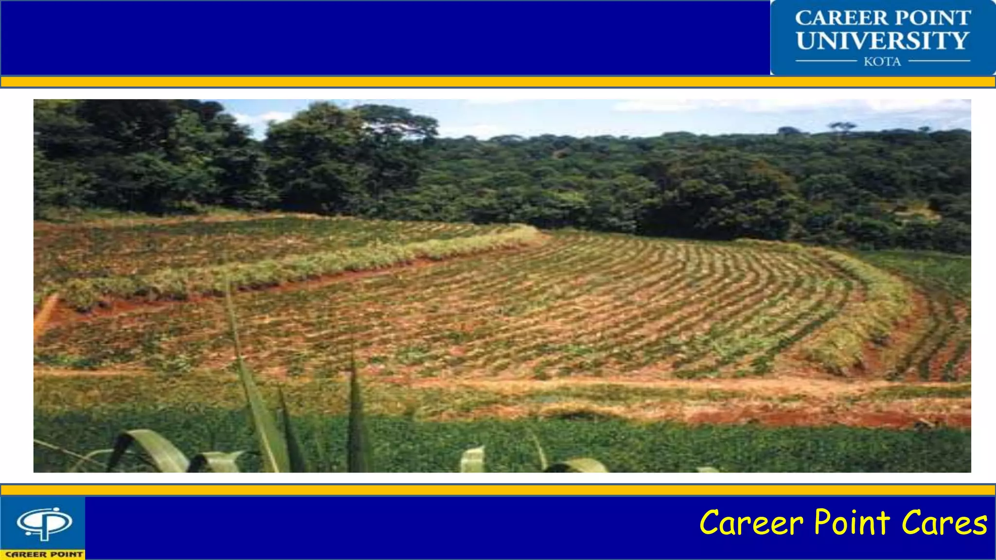 Contour Barriers PPT contour-barriers-ppt