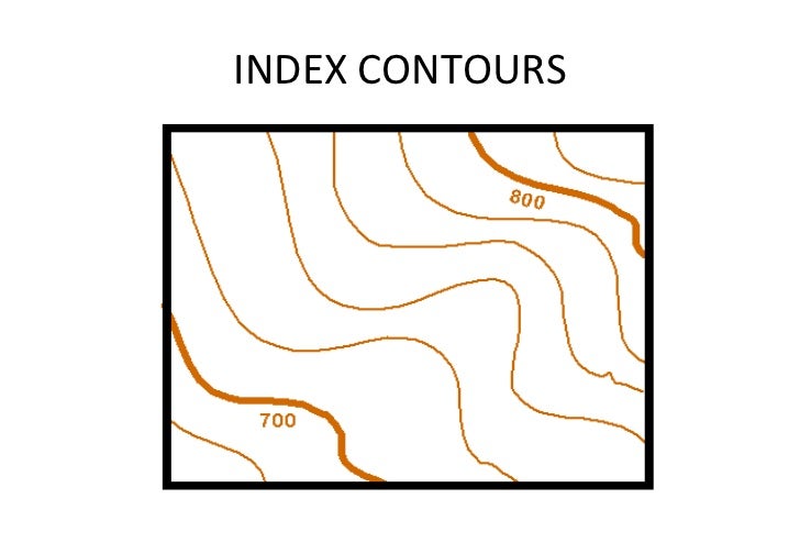 definition of contour lines in art