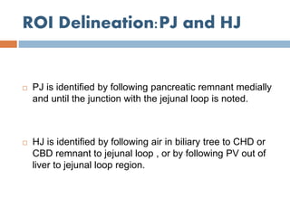 ROI Delineation:PJ and HJ
 PJ is identified by following pancreatic remnant medially
and until the junction with the jejunal loop is noted.
 HJ is identified by following air in biliary tree to CHD or
CBD remnant to jejunal loop , or by following PV out of
liver to jejunal loop region.
 