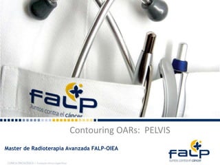 Contouring OARs: PELVIS
Master de Radioterapia Avanzada FALP-OIEA
 