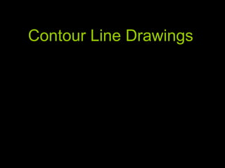 Contour Line Drawings 