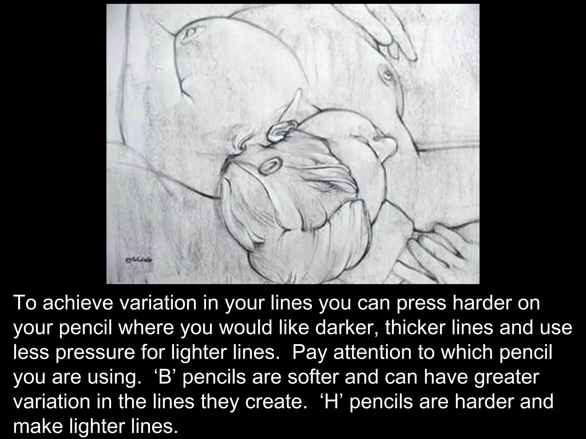 To achieve variation in your lines you can press harder on
your pencil where you would like darker, thicker lines and use
less pressure for lighter lines. Pay attention to which pencil
you are using. ‘B’ pencils are softer and can have greater
variation in the lines they create. ‘H’ pencils are harder and
make lighter lines.
 