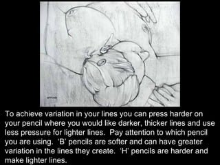 To achieve variation in your lines you can press harder on
your pencil where you would like darker, thicker lines and use
less pressure for lighter lines. Pay attention to which pencil
you are using. ‘B’ pencils are softer and can have greater
variation in the lines they create. ‘H’ pencils are harder and
make lighter lines.
 