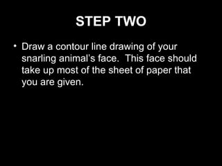 STEP TWO Draw a contour line drawing of your snarling animal’s face.  This face should take up most of the sheet of paper that you are given. 
