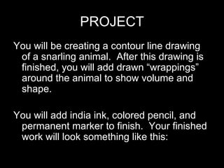 PROJECT You will be creating a contour line drawing of a snarling animal.  After this drawing is finished, you will add drawn “wrappings” around the animal to show volume and shape. You will add india ink, colored pencil, and permanent marker to finish.  Your finished work will look something like this: 