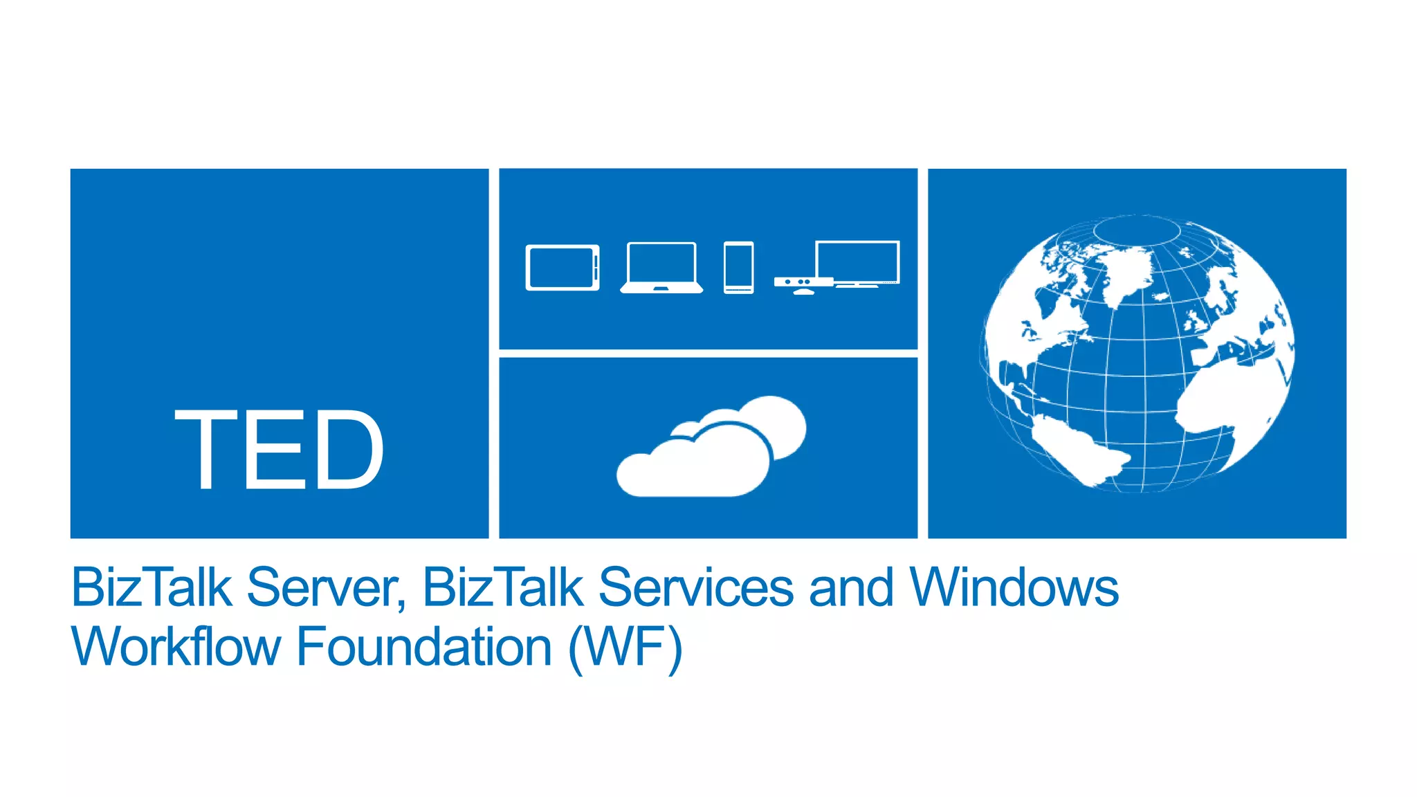BizTalk Server, BizTalk Services and Windows
Workflow Foundation (WF)

 