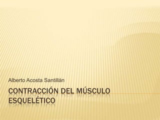 Contracción del músculo esquelético Alberto Acosta Santillán 