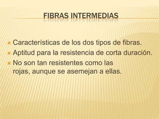FIBRAS INTERMEDIAS


 Características de los dos tipos de fibras.
 Aptitud para la resistencia de corta duración.

 No son tan resistentes como las
  rojas, aunque se asemejan a ellas.
 