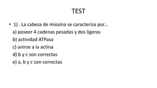 TEST
• 1) . La cabeza de miosina se caracteriza por…
a) poseer 4 cadenas pesadas y dos ligeras
b) actividad ATPasa
c) unirse a la actina
d) b y c son correctas
e) a, b y c son correctas

 