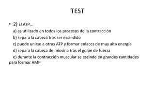 TEST
• 2) El ATP…
a) es utilizado en todos los procesos de la contracción
b) separa la cabeza tras ser escindido
c) puede unirse a otros ATP y formar enlaces de muy alta energía
d) separa la cabeza de miosina tras el golpe de fuerza
e) durante la contracción muscular se escinde en grandes cantidades
para formar AMP

 