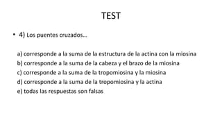 TEST
• 4) Los puentes cruzados…
a) corresponde a la suma de la estructura de la actina con la miosina
b) corresponde a la suma de la cabeza y el brazo de la miosina
c) corresponde a la suma de la tropomiosina y la miosina
d) corresponde a la suma de la tropomiosina y la actina
e) todas las respuestas son falsas

 