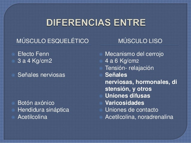 FISIOLOGIA Contracción y excitación del músculo liso FISIOLOGIA Contracción y excitación del músculo liso